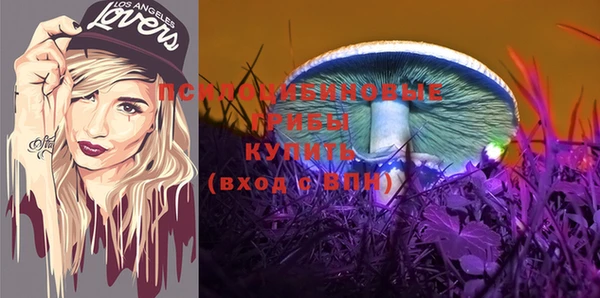 гидра Балабаново