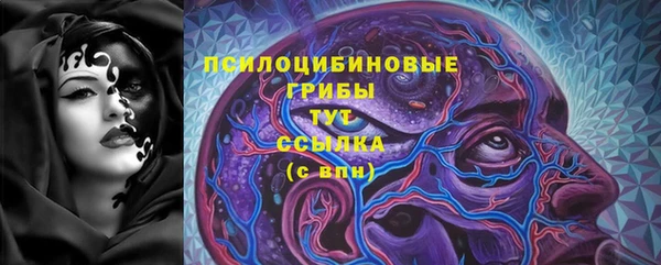 бошки Покачи