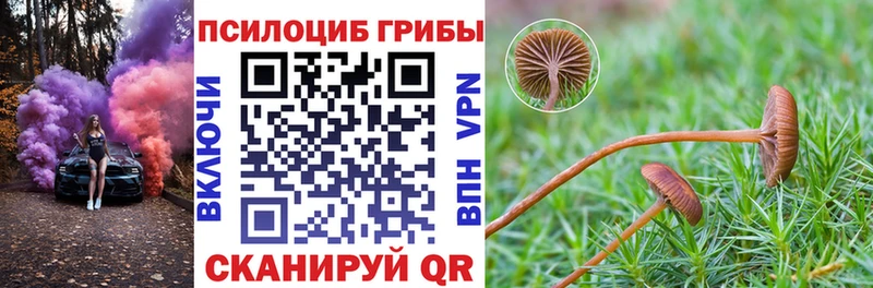 ОМГ ОМГ ССЫЛКА  Ливны  Псилоцибиновые грибы мицелий 
